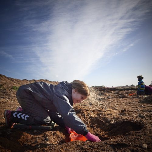 Kom ud og grav efter fossiler i Gram Lergrav